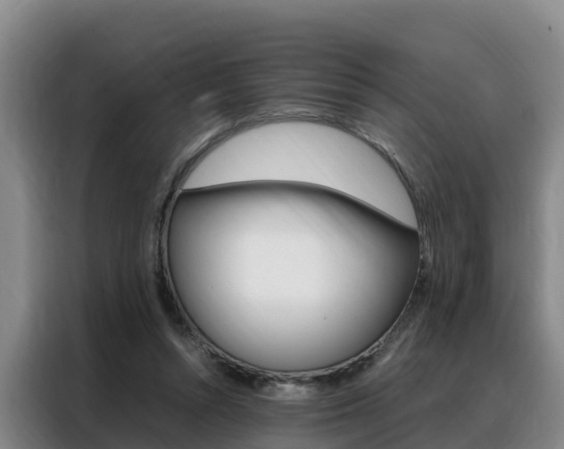 X0000088360352200705220737