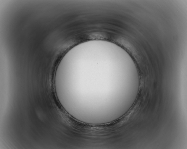 X0000088360353200705220737
