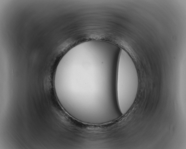 X0000088360354200705220737