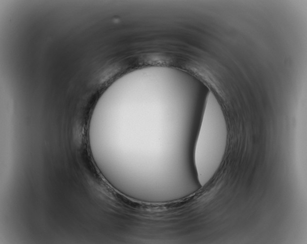 X0000088360355200705220737