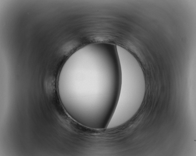 X0000088360356200705220737