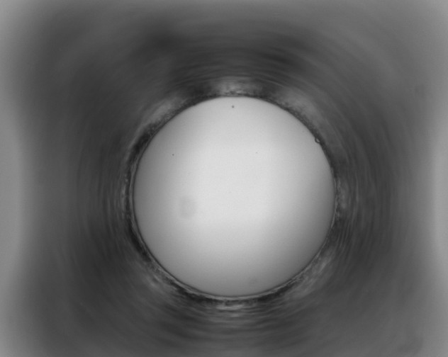 X0000088360357200705220737