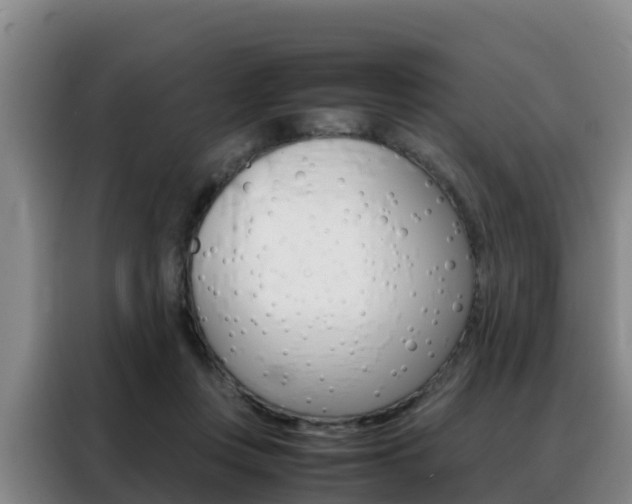 X0000088360359200705220737