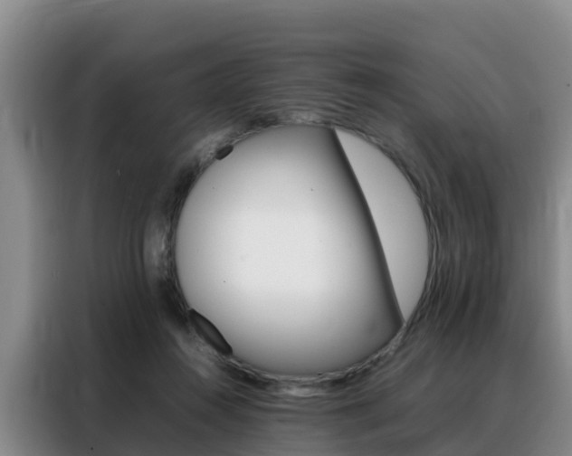X0000088360360200705220737