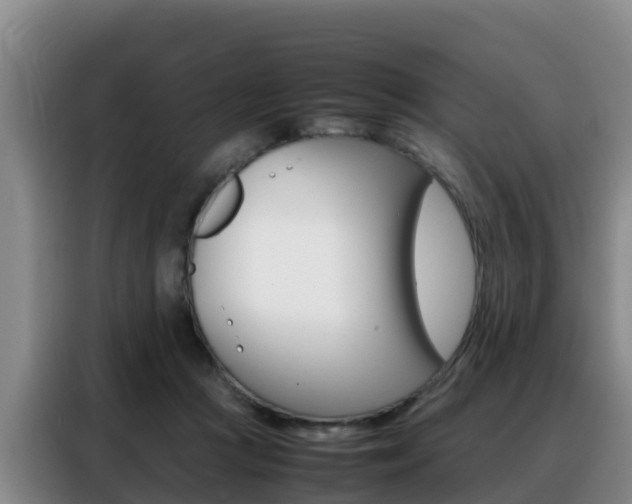 X0000088360361200705220737