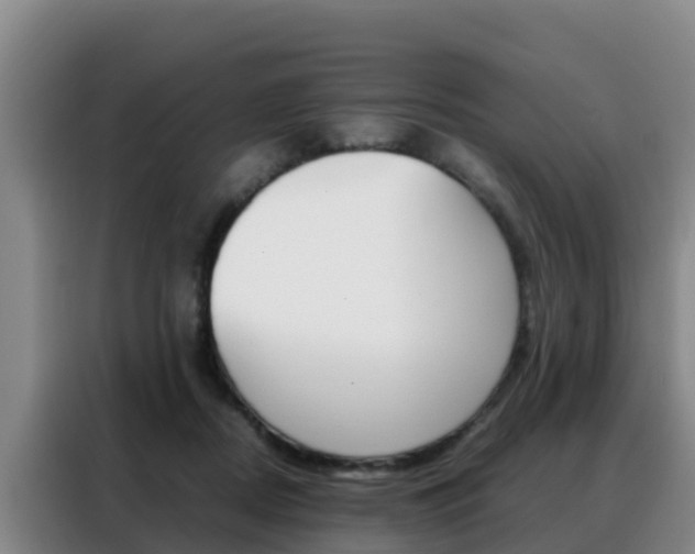 X0000088360362200705220737