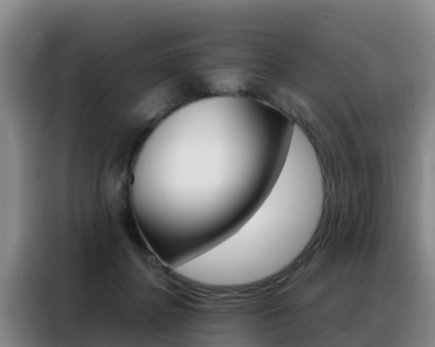 X0000088360364200705220737