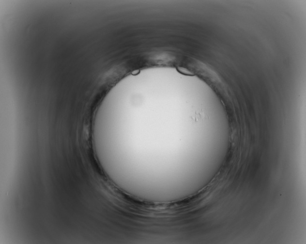 X0000088360365200705220737