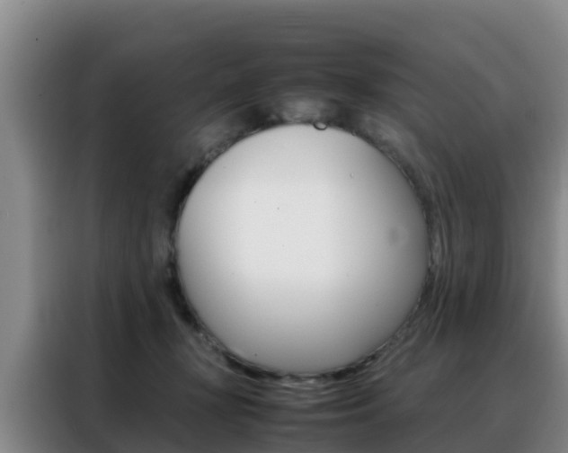 X0000088360367200705220737