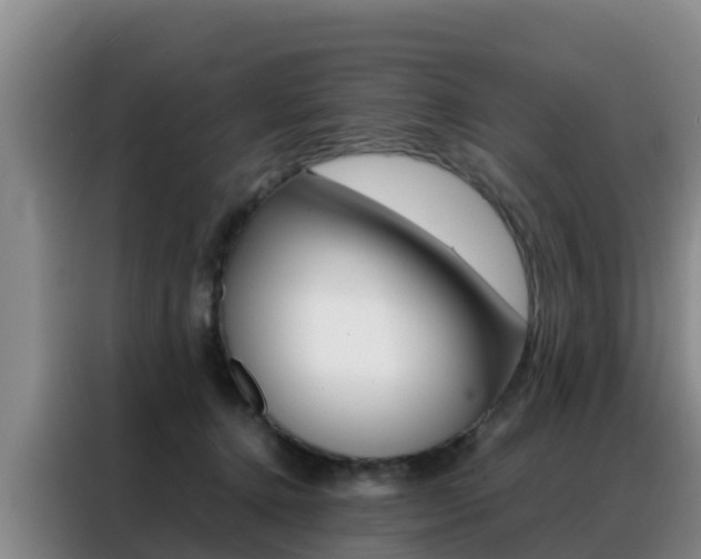 X0000088360368200705220737