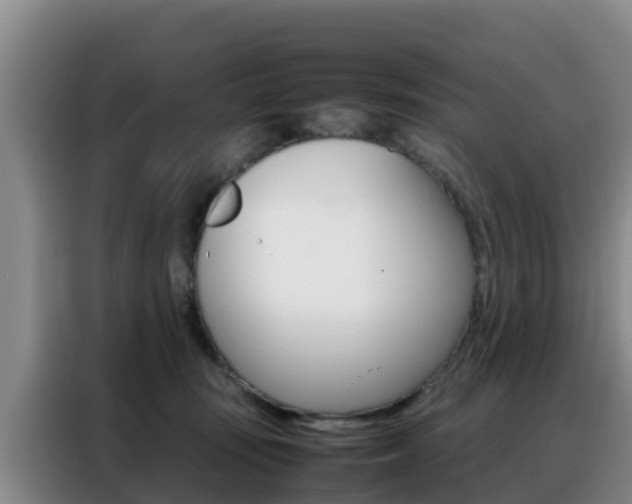 X0000088360371200705220738