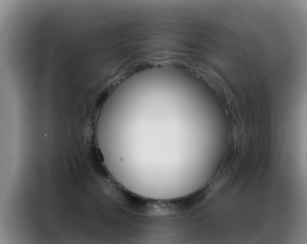 X0000088360372200705220738