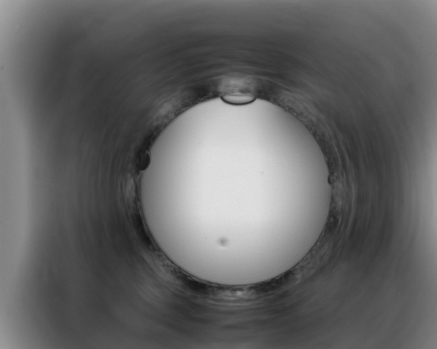 X0000088360375200705220738