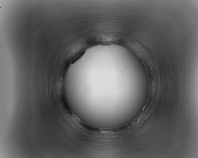 X0000088360376200705220738