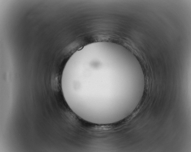 X0000088360378200705220738