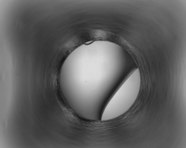 X0000088360379200705220738