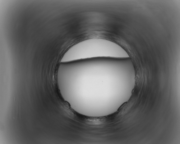 X0000088360381200705220738