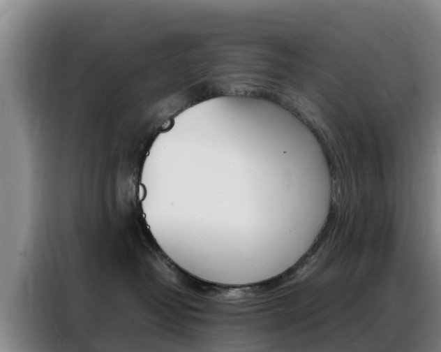 X0000088360382200705220738