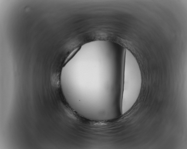 X0000088360383200705220738