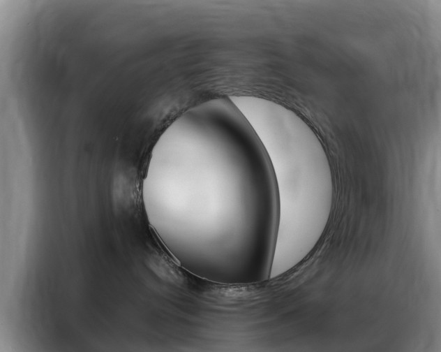 X0000088360384200705220738