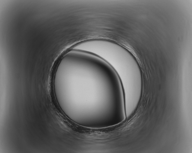 X0000088360387200705220737