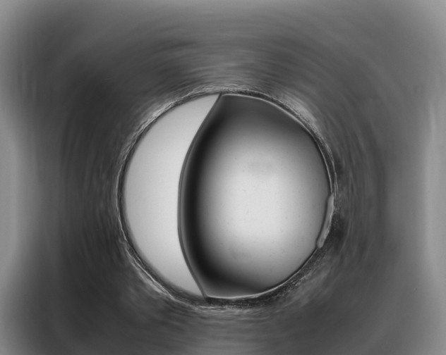 X0000088360389200705220737