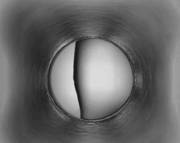 X0000088360390200705220737