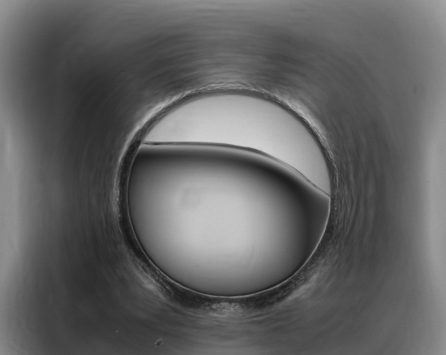 X0000088360391200705220737