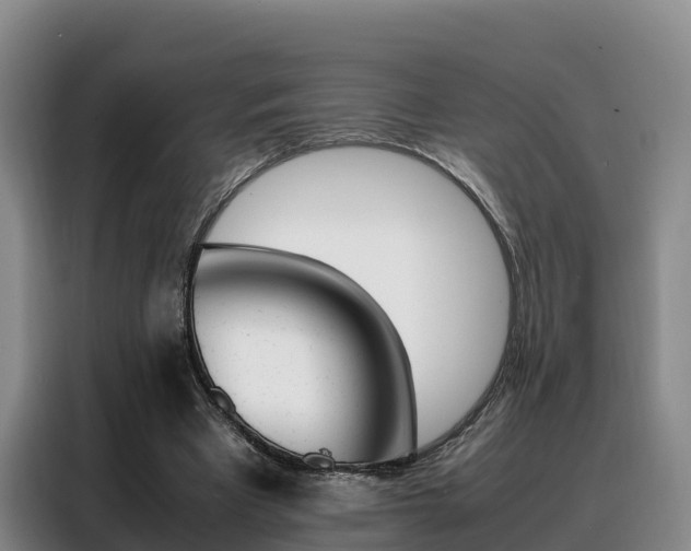 X0000088360393200705220737