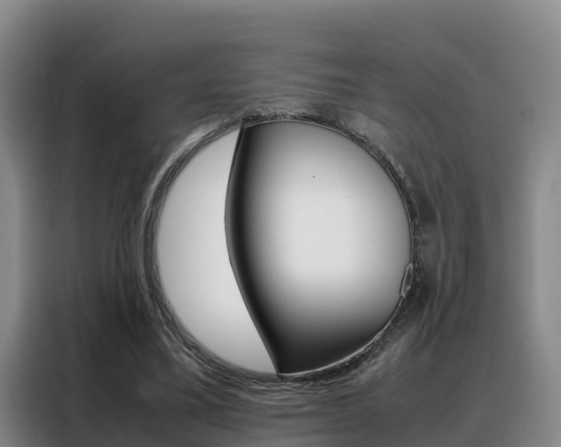 X0000088360395200705220737