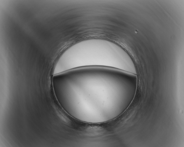 X0000088360397200705220737