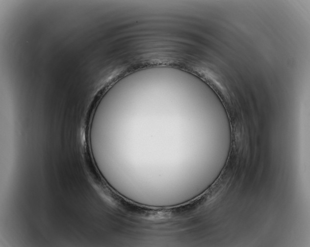X0000088360398200705220737