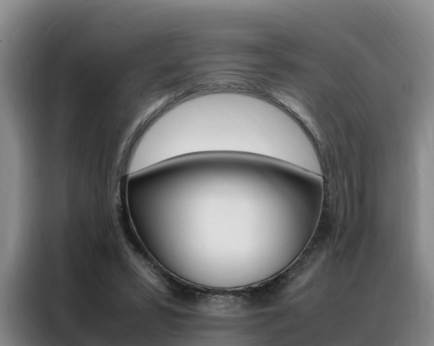 X0000088360399200705220737