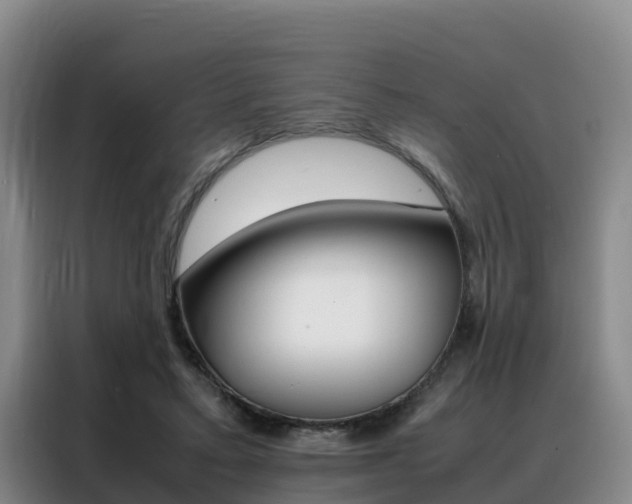 X0000088360403200705220737