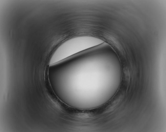 X0000088360404200705220737