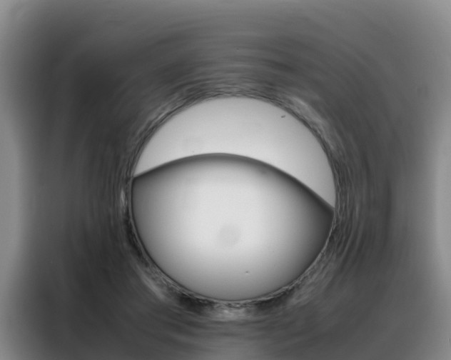 X0000088360405200705220737