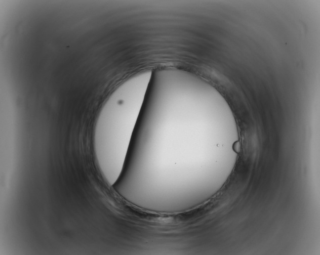X0000088360406200705220737