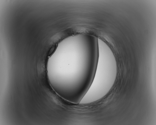 X0000088360407200705220737