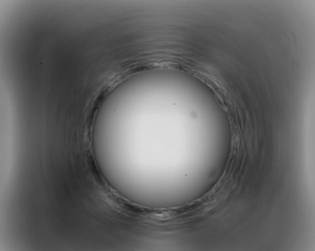 X0000088360411200705220737