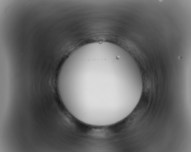 X0000088360414200705220737