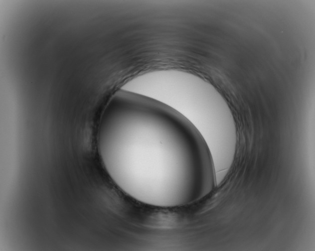 X0000088360416200705220737