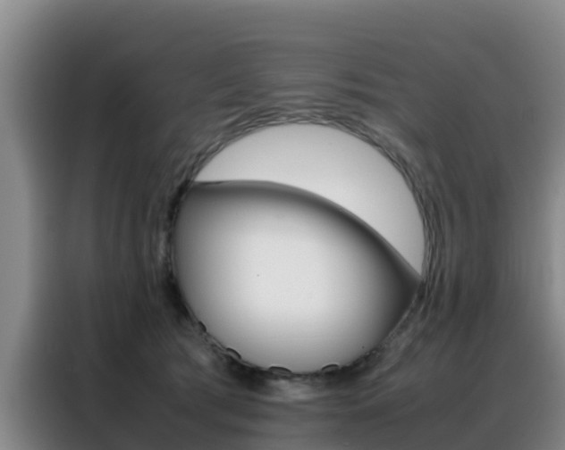 X0000088360417200705220737