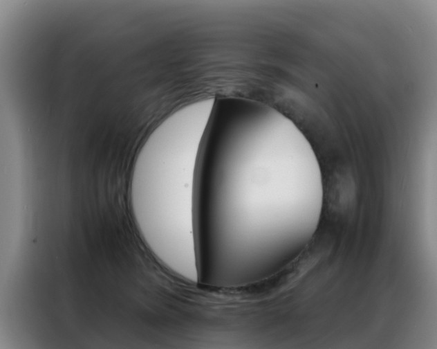 X0000088360420200705220737