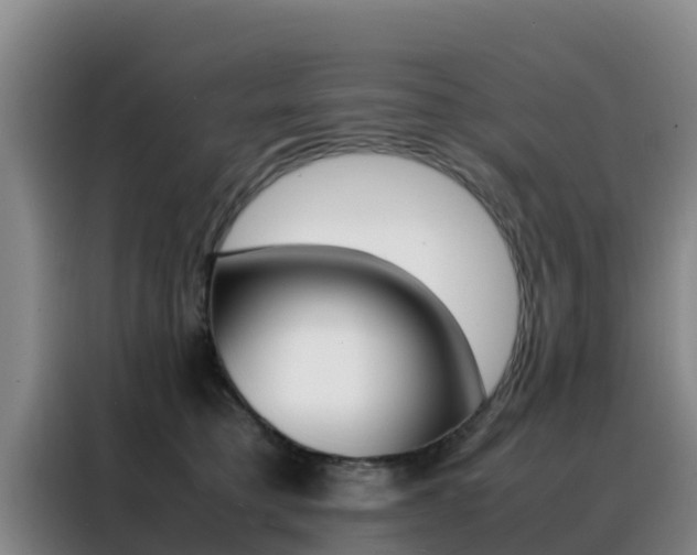 X0000088360421200705220737