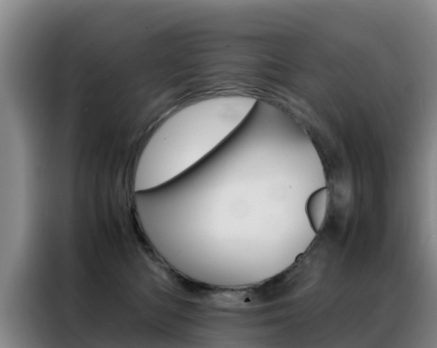 X0000088360422200705220737