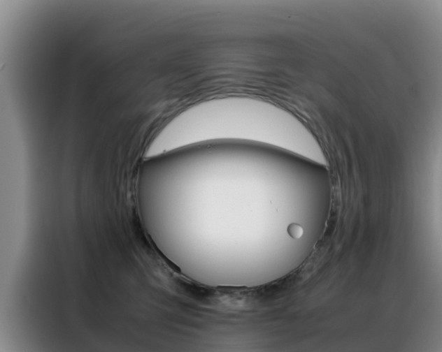 X0000088360423200705220737