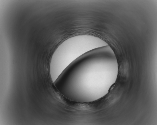 X0000088360424200705220737