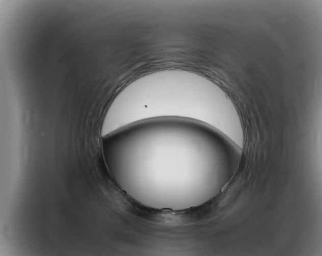 X0000088360425200705220737