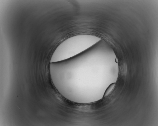 X0000088360426200705220737