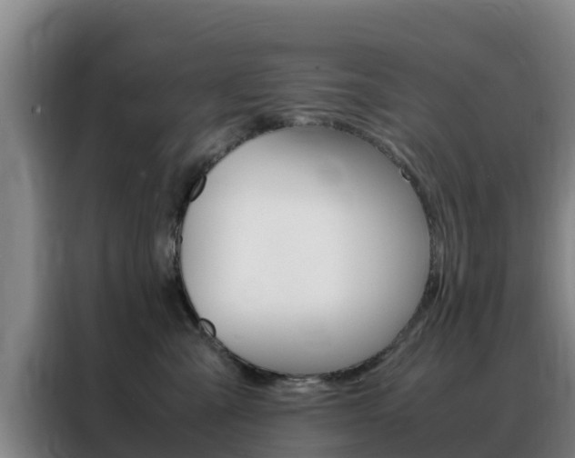X0000088360427200705220737